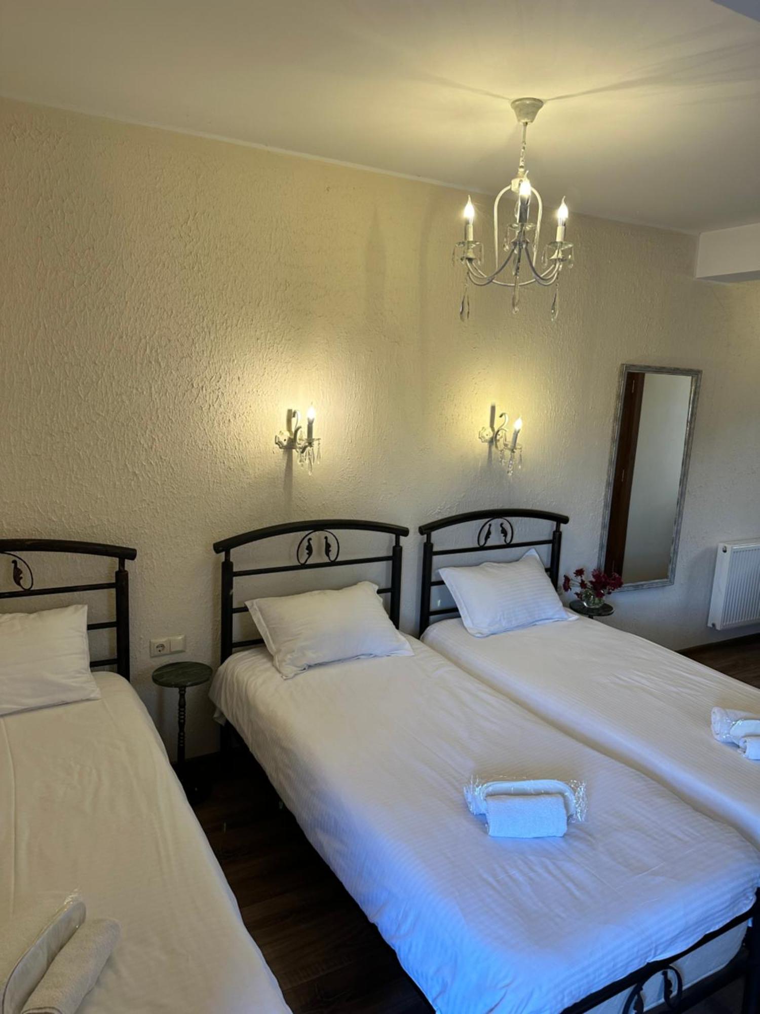 Hotel Wine Hills Tbilisi Esterno foto